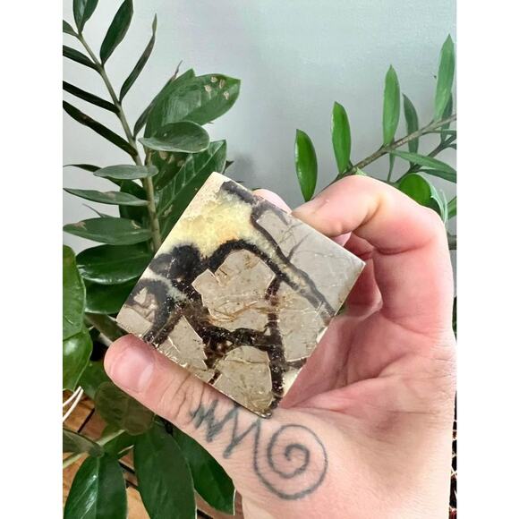 Cut Base Septarian Cube - Picture 4 of 6
